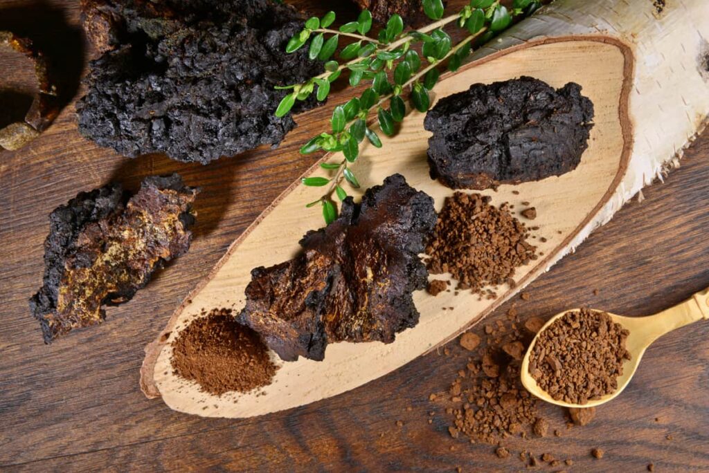 Benefits of Chaga Functional Mushrooms.