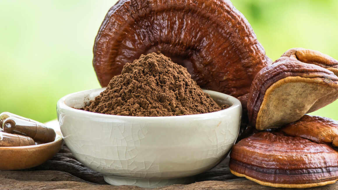 Unlocking Wellness A Comprehensive Guide to the Benefits of Reishi Functional Mushrooms
